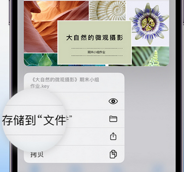 思南apple维修中心分享iPhone文件应用中存储和找到下载文件