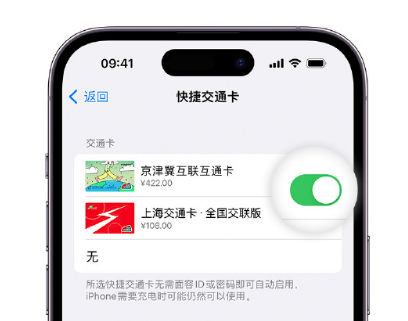 思南apple维修点分享iPhone上更换Apple Pay快捷交通卡手绘卡面 