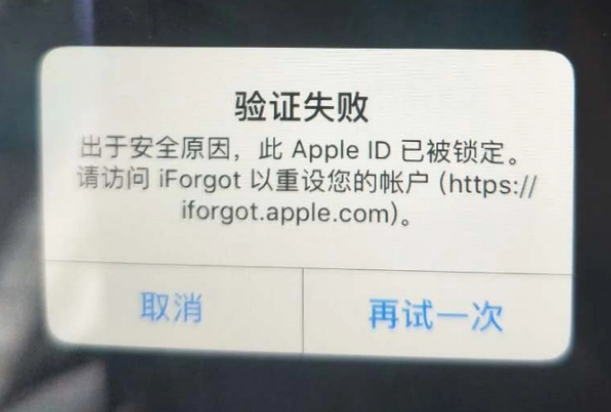 思南iPhone维修分享iPhone上正常登录或使用AppleID怎么办 