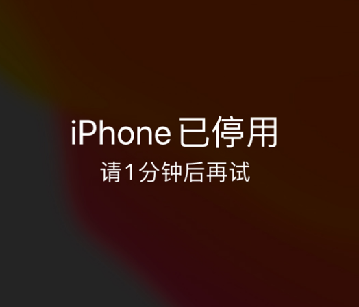 思南苹果手机维修分享:iPhone 显示“不可用”或“已停用”怎么办？还能保留数据吗？ 