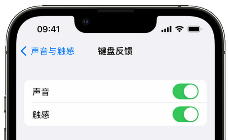 思南苹果手机维修分享iPhone 14触感键盘使用方法 