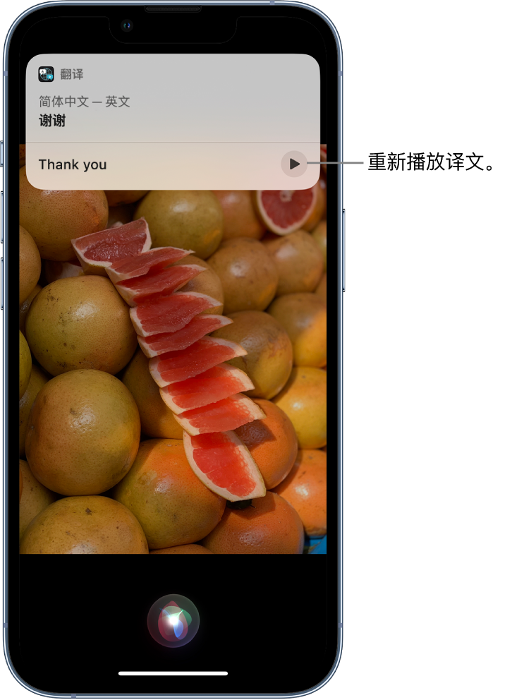 思南苹果14维修分享 iPhone 14 机型中使用 Siri：了解 Siri 能帮你做什么 