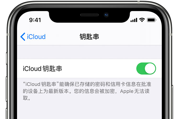 思南苹果手机维修分享在 iPhone 上开启 iCloud 钥匙串之后会储存哪些信息 