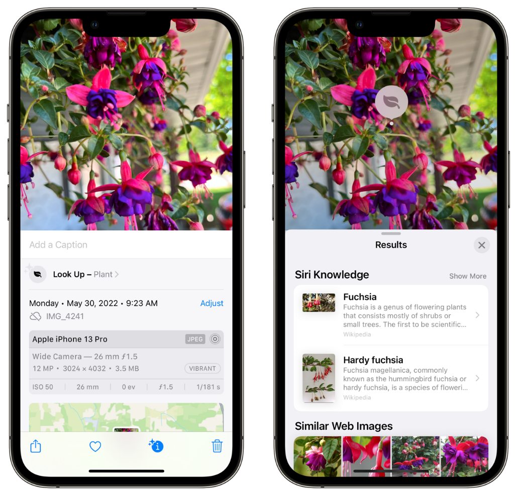 思南苹果手机维修分享小技巧：使用 iPhone 相机识别花卉植物 