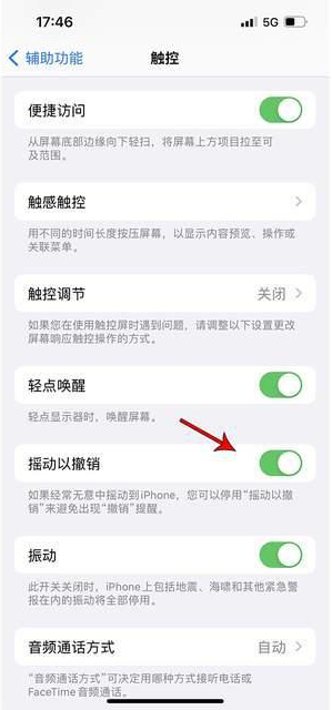 思南苹果手机维修分享iPhone手机如何设置摇一摇删除文字 